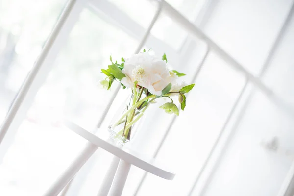 Witte pioen bloemen op salontafel witte kamer interieur, Brig — Stockfoto