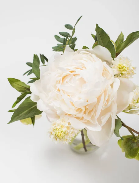 Flores de peonía sobre fondo blanco primer plano — Foto de Stock