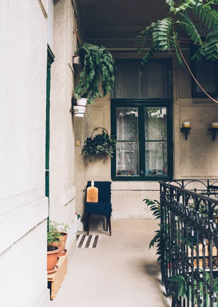 Porche de casa antigua, ventana verde, detalles vintage y pla casa — Foto de Stock