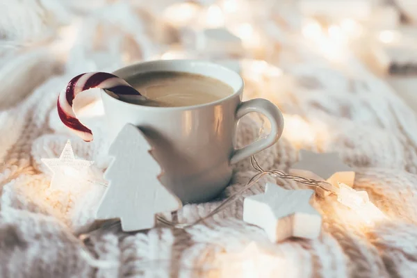 Decorações de Natal de férias de inverno, brinquedos de madeira brancos, dri quente — Fotografia de Stock