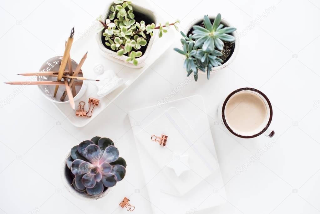 office desk flat lay with coffe, notepads and succulents, clean