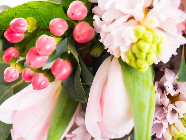 一束粉红色的风信子, 装饰浆果和郁金香, 节日 — 图库照片