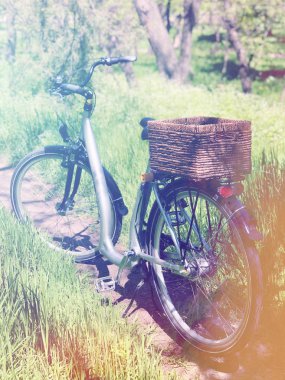 Yeşil ile ülke yolda wickered sepeti ile şık Bisiklet 