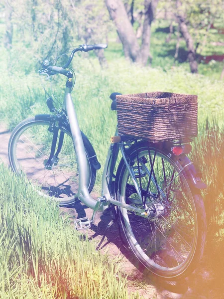 Stijlvolle fiets met wickered mandje op land pad met groen — Stockfoto