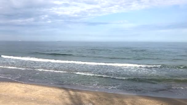 Black sea waves on beach — Stock Video