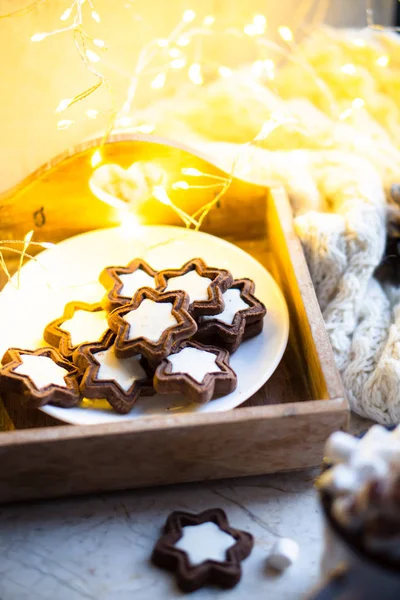 Comforting Christmas food, mug of hot cocoa with marshmallow and cookies with cozy lights — ストック写真