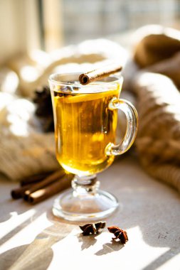 Hot winter drink with cinnamon and lemon on bright sunny day