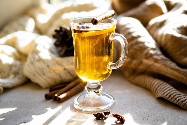 Hot winter drink with cinnamon and lemon on bright sunny day — Stock Fotó