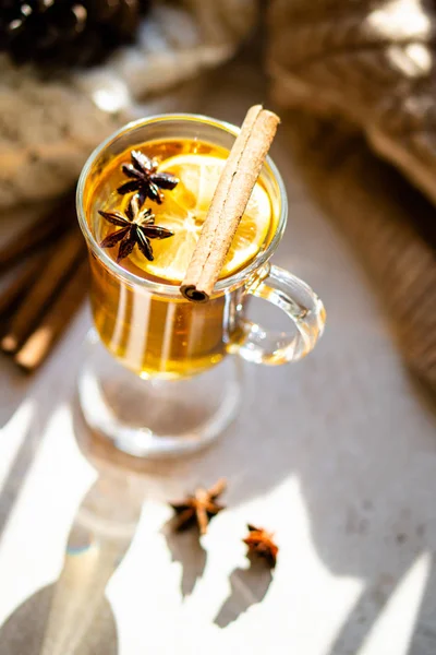 Горячий зимний напиток с корицей и лимоном в яркий солнечный день — стоковое фото