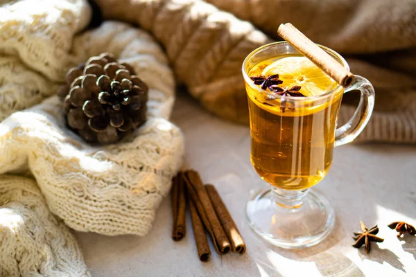 Hot winter drink with cinnamon and lemon on bright sunny day — Stock Photo, Image