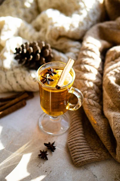 Hot winter drink with cinnamon and lemon on bright sunny day — Stock Photo, Image