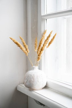 White textured hand-made ceramic vase with dry ears on windowsill