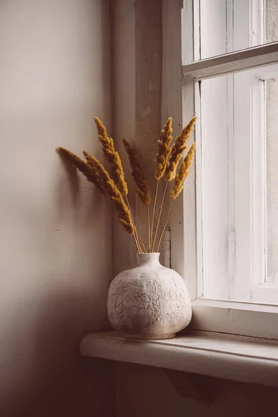 White textured hand-made ceramic vase with dry ears on windowsill — Stok fotoğraf