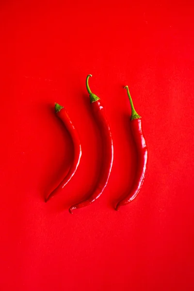 Trzy czerwone papryki chili na płaskim czerwonym tle — Zdjęcie stockowe