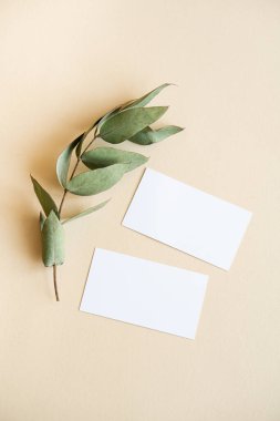 Yaprakları olan doğal bir dal ve bej arka planda iki boş kağıt kart.