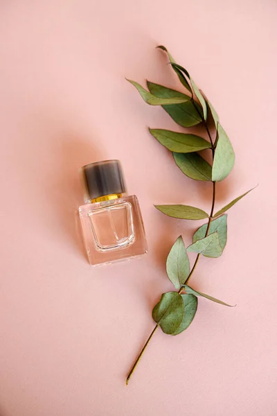 Bottle of perfume and branch with leaves on blush pink background — Stock Photo, Image