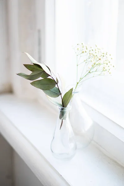 Deux vases avec des branches sèches sur le rebord de la fenêtre blanche à l'intérieur de la maison lumière du jour — Photo