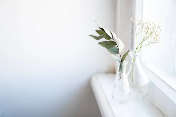 Dos jarrones con ramas secas en el alféizar blanco en el interior de la casa de luz natural —  Fotos de Stock