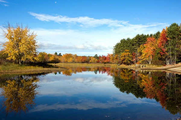 Осіннє листя озеро відбитки — стокове фото