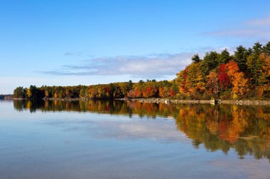 Sonbahar ağaç yansımaları Lake Sabago Maine