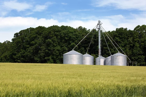 Silos de grãos de trigo Wnter Fotografias De Stock Royalty-Free