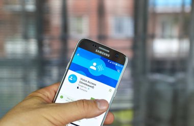 Google Voice Access
