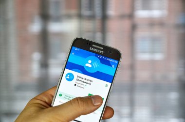 Google Voice Access