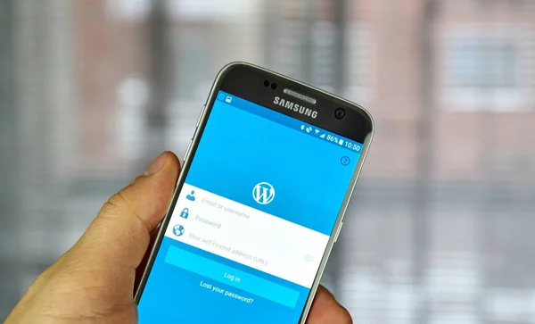 Wordpress mobile application — Stock Photo, Image