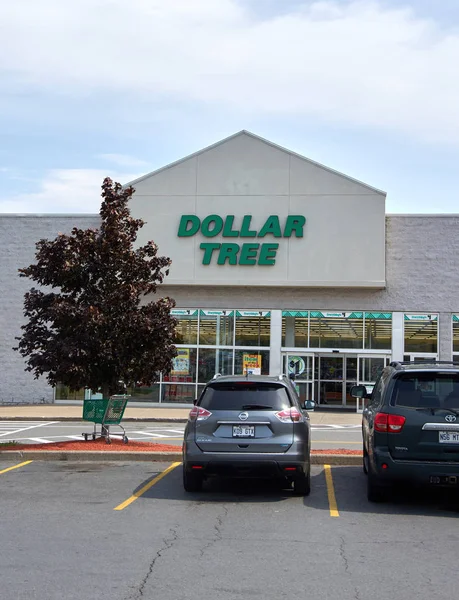 Dollar Tree tienda y firmar . — Foto de Stock
