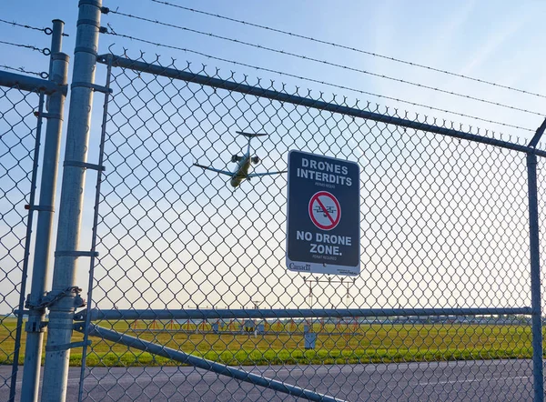 Hiçbir erkek arı bölge işareti ve uçak