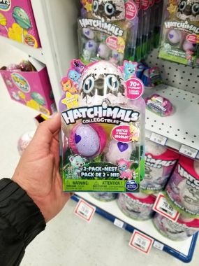 Hatchimals oyuncaklar paketleri bir mağaza