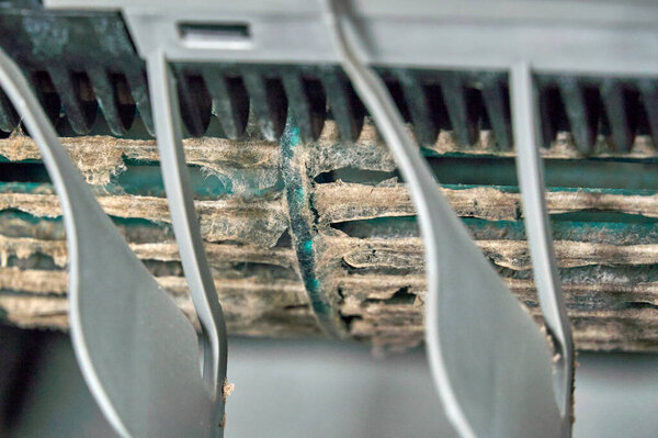 Mold and dust inside of air conditioner, close up picture, selective focus.