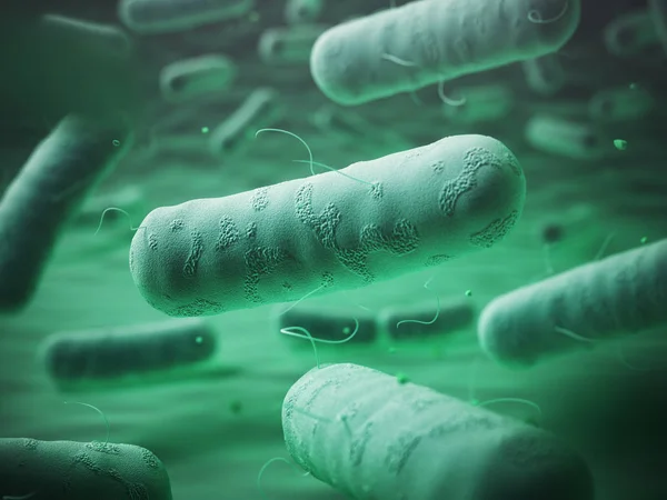 Enterobacteriaceas. Gramnegativní bakterie escherichia coli, sa — Stock fotografie