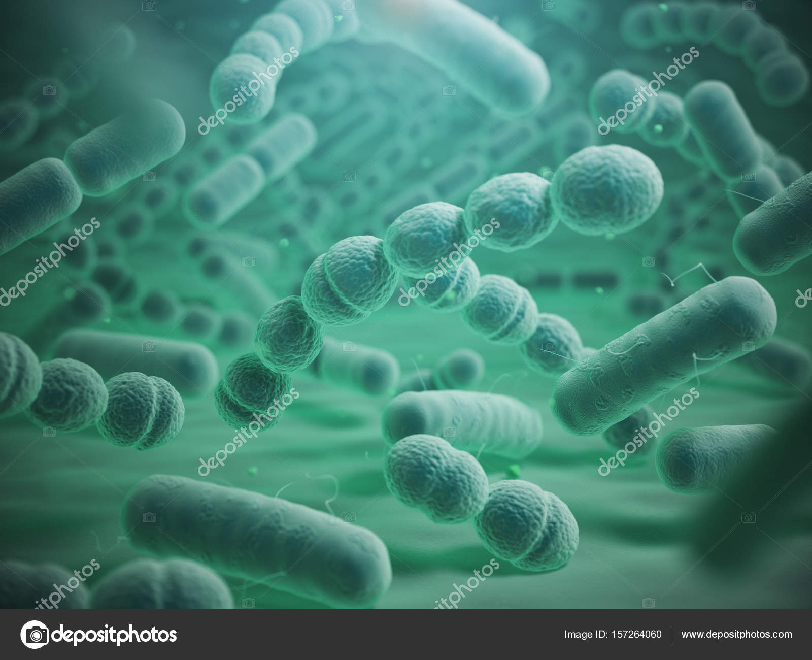 Various Bacteria Cells In Microscope Streptococcus Pneumonia P Stock Photo Image By C Maxxyustas