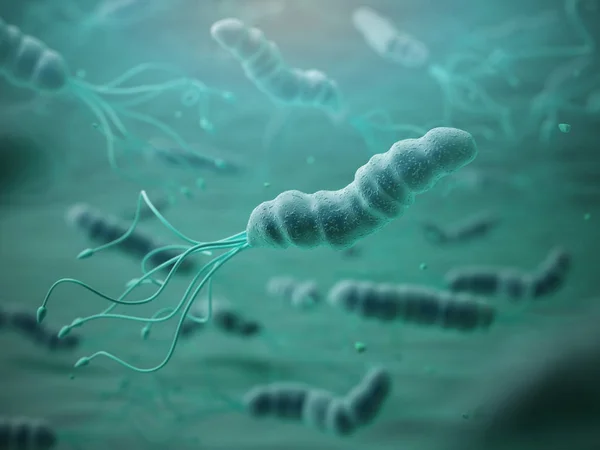 Helicobacter pylori in microscope. Bactreiias. — Stock Photo, Image