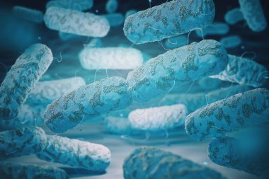 Enterobacterias. Gram negatif bakterilerin escherichia coli, salmo