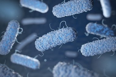 Enterobacterias. Gram negatif bakterilerin escherichia coli, salmo