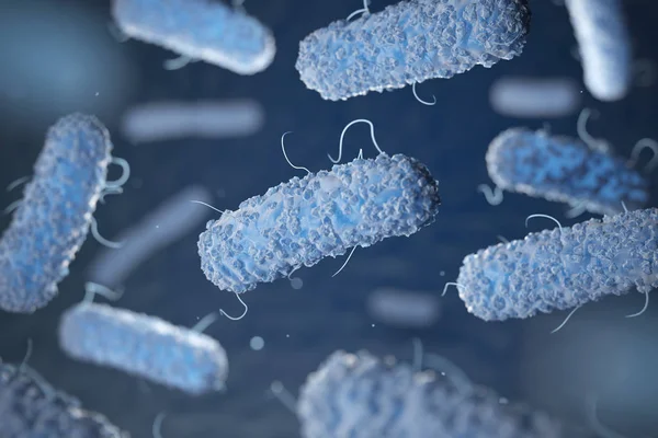 Enterobacterias. Gram-negative bacterias escherichia coli, salmo — Stock Photo, Image