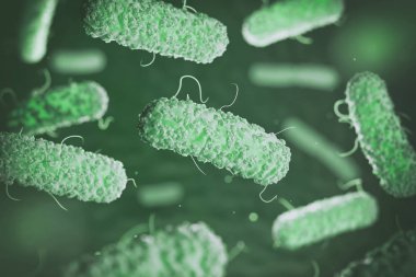 Enterobacterias. Gram-negative bacterias escherichia coli, salmo clipart