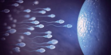 Sperm ve yumurta cep telefonundan mikroskop. Bilimsel arka plan.