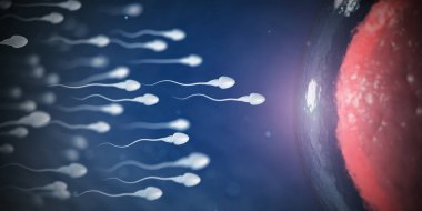 Sperm ve yumurta cep telefonundan mikroskop. Bilimsel arka plan.