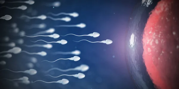 Spermatozoi e ovuli al microscopio. Contesto scientifico . — Foto Stock