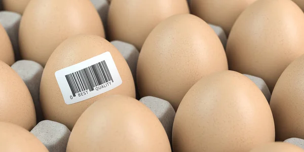 Куряче Яйце Штрих Кодом Концепція Контролю Якості Ілюстрація — стокове фото