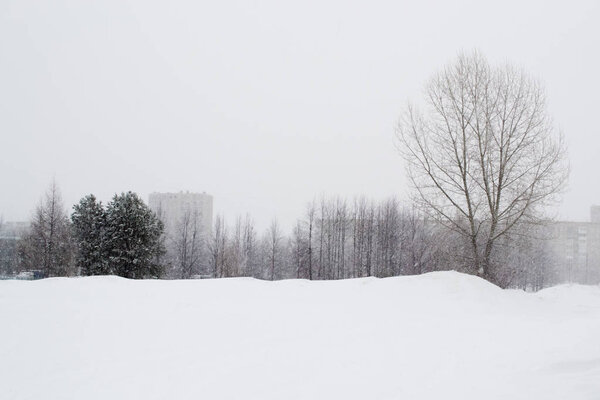 Winter landscape. Snowstorm. Russia.