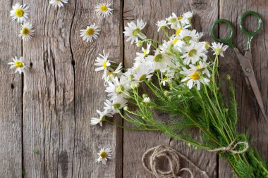 Ahşap masa üzerinde papatya