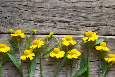 Ahşap arkaplanda çiçekler