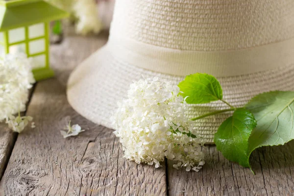 Hoed Bloemen Van Witte Viburnum — Stockfoto