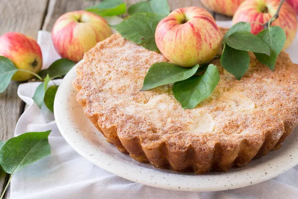 Gâteau aux pommes et aux pommes — Photo
