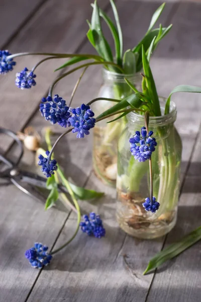 Spring flowers in bottles on wooden table