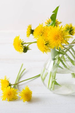 Beyaz ahşap arka planda beyaz vazoda bir buket karahindiba.